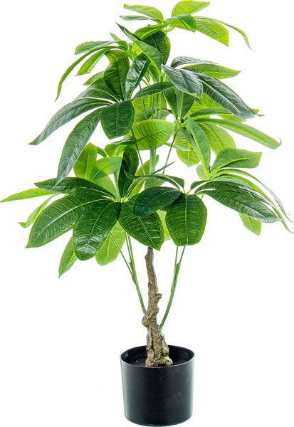 Decorative Plant Alexandra House Living Plastic Pachira aquatica 90 cm