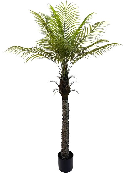 Decorative Plant Alexandra House Living Plastic Palm tree 180 cm