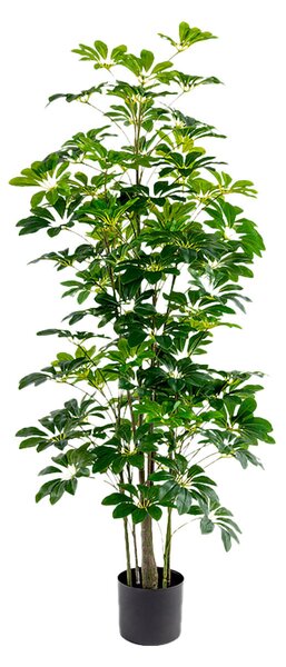 Decorative Plant Alexandra House Living Plastic Schefflera 155 cm