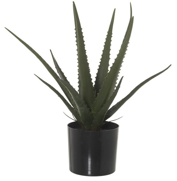 Decorative Plant Alexandra House Living Plastic Aloe Vera 11 x 11 x 39 cm