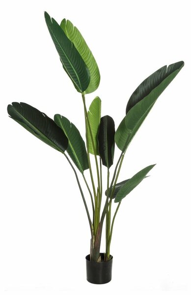 Decorative Plant PVC Iron Bird of paradise 150 cm