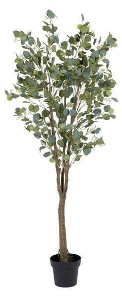 Decorative Plant 80 x 75 x 173 cm Green PVC Eucalyptus