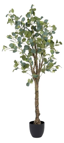 Decorative Plant 78 x 68 x 150 cm Green PVC Eucalyptus