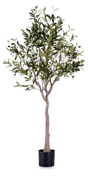 Decorative Plant 73 x 120 x 73 cm Olive tree Green Plastic