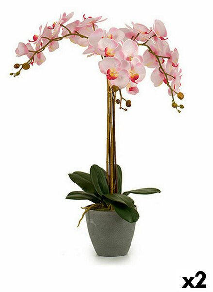 Decorative Plant Orchid Plastic 29 x 78 x 35 cm (2 Units)