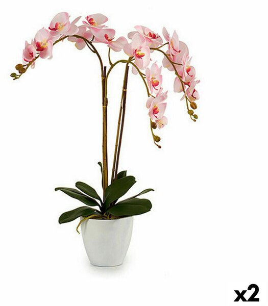 Decorative Plant Orchid Plastic 40 x 77 x 35 cm (2 Units)