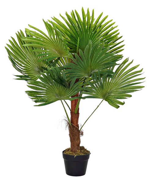 Decorative Plant DKD Home Decor Palm tree Green PE (40 x 40 x 90 cm)