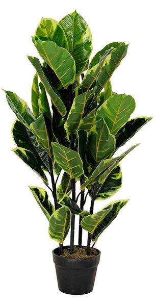 Decorative Plant DKD Home Decor Polyethylene Urban 40 x 40 x 90 cm