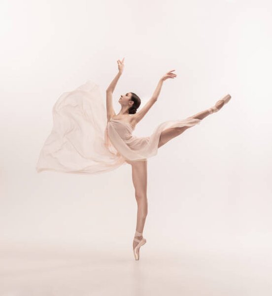 Photography Young graceful tender ballerina on white, master1305