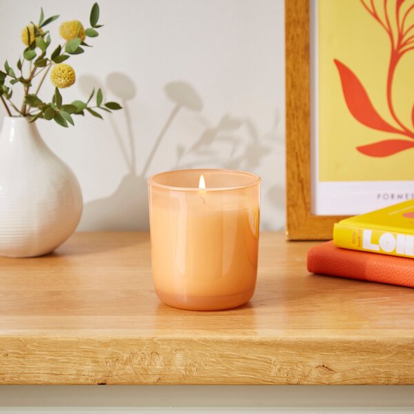 Core Plus Mango and Orchid Single Wick Candle Orange