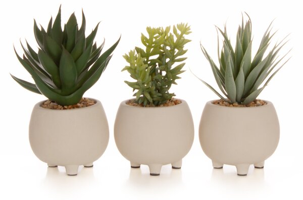 Artificial Set of 3 Succulents in Cream Cement Plant Pots Green