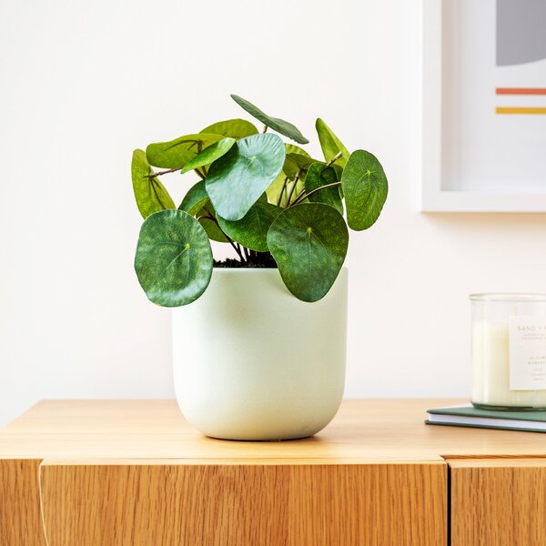 Artificial Money Plant Green