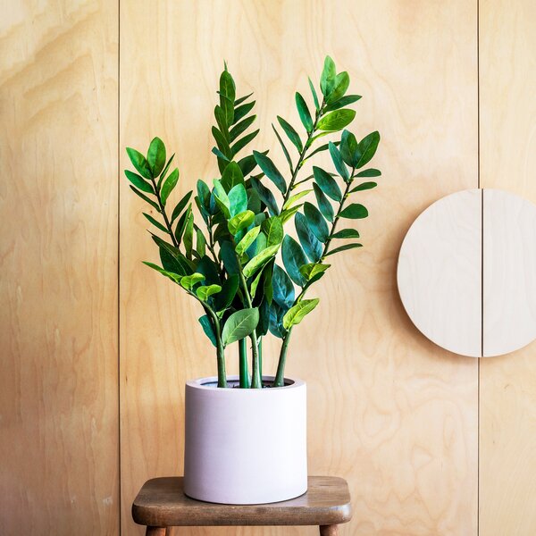 Artificial ZZ Plant 70cm Green