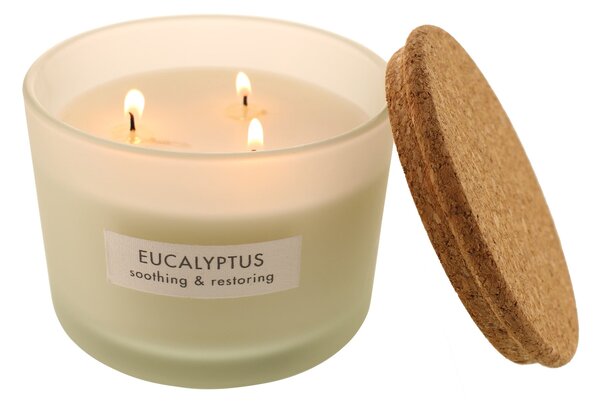 Wellness Multiwick Eucalyptus Candle White