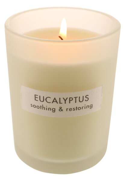 Wellness Soy Eucalyptus Candle White