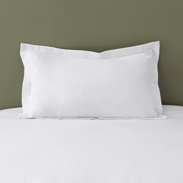 Everlee 100% Cotton Oxford Pillowcase White