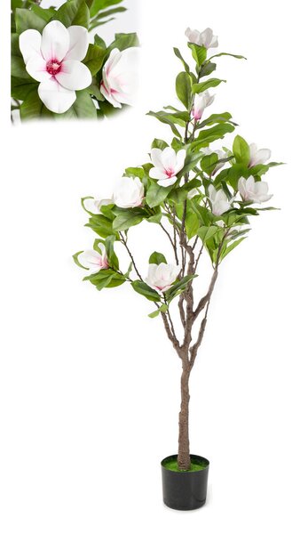 Decorative Flowers Romimex White Magnolia 50 x 160 x 50 cm