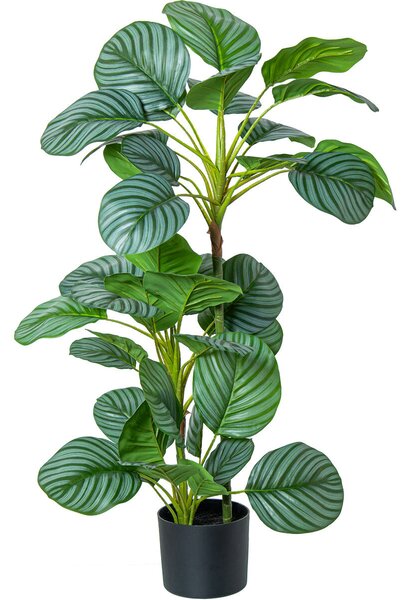 Decorative Plant Alexandra House Living Plastic Calathea 90 cm