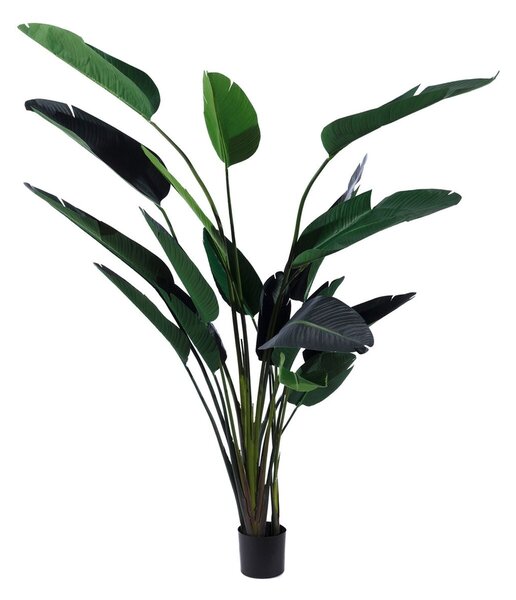 Decorative Plant Polyethylene Iron Cement Bird of paradise 245 cm 120 x 120 x 245 cm