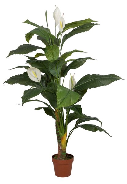 Decorative Plant Bamboo Polyethylene Iron Cement 45 x 45 x 130 cm