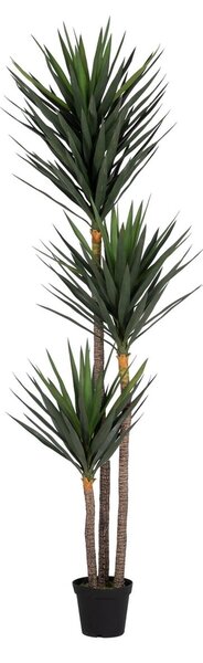 Decorative Plant Polyethylene Iron Cement Yucca 30 x 30 x 250 cm