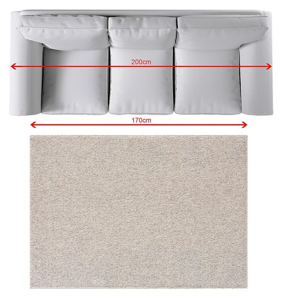 Rug Ease 120x170 cm