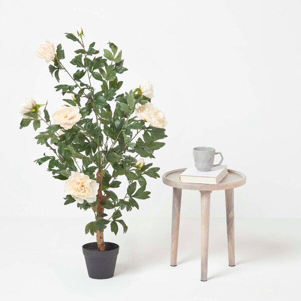 Peach Artificial Peony Tree in Black Pot, 100 cm Tall