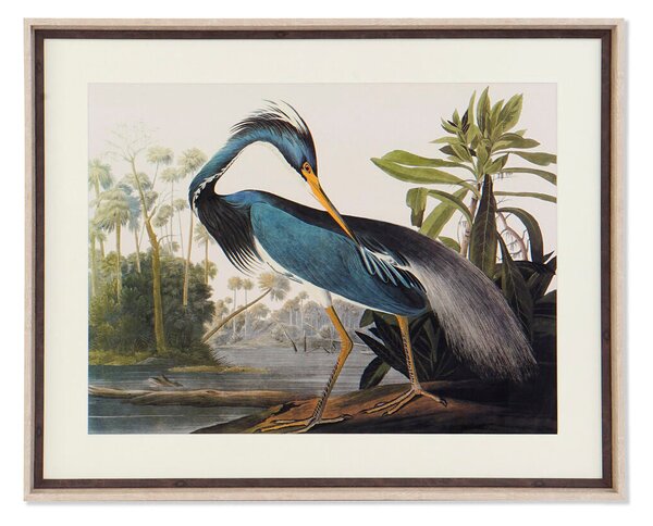 Painting DKD Home Decor Bird Oriental (88 x 3,5 x 70 cm)