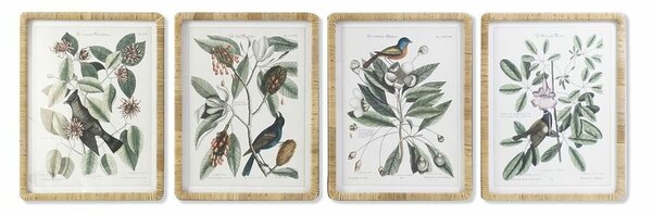 Painting DKD Home Decor 50 x 2,5 x 65 cm Shabby Chic Botanical plants (4 Pieces)