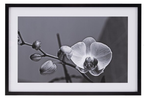 Canvas Orchid 65 x 2 x 95 cm Flower