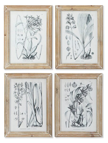 Painting DKD Home Decor Modern Botanical plants 30 x 2 x 40 cm (4 Units)