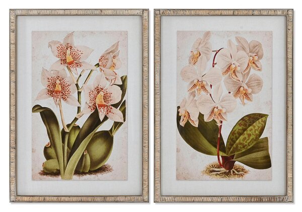 Painting Home ESPRIT Tropical Orchid 50 x 2,5 x 70 cm (2 Units)