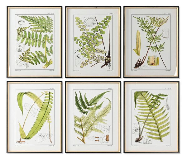 Painting Home ESPRIT Modern Fern 50 x 2,5 x 65 cm (6 Units)