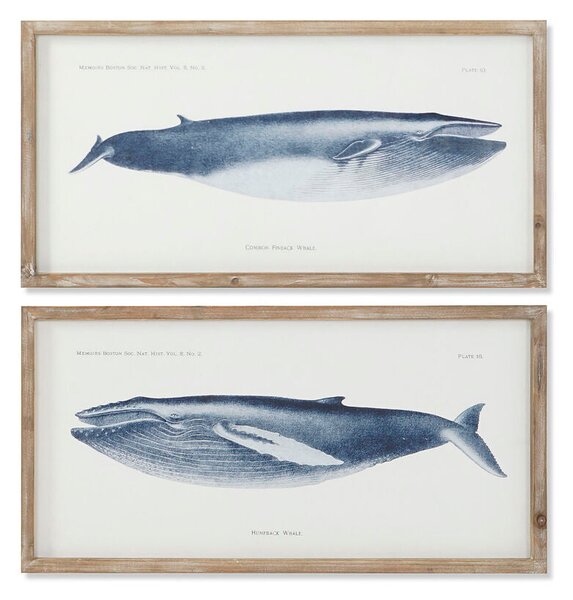 Painting Home ESPRIT Whale 70 x 2,5 x 35 cm (2 Units)