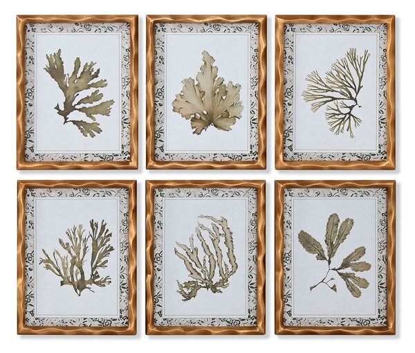 Painting Home ESPRIT Green Beige Golden Botanical plants 28 x 2,8 x 36 cm (6 Units)