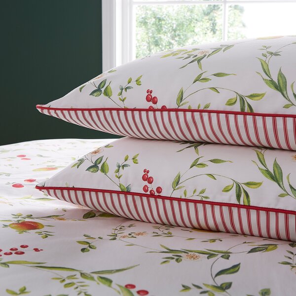 Dorma Fruit Orchard Standard Pillowcase Pair White/Red