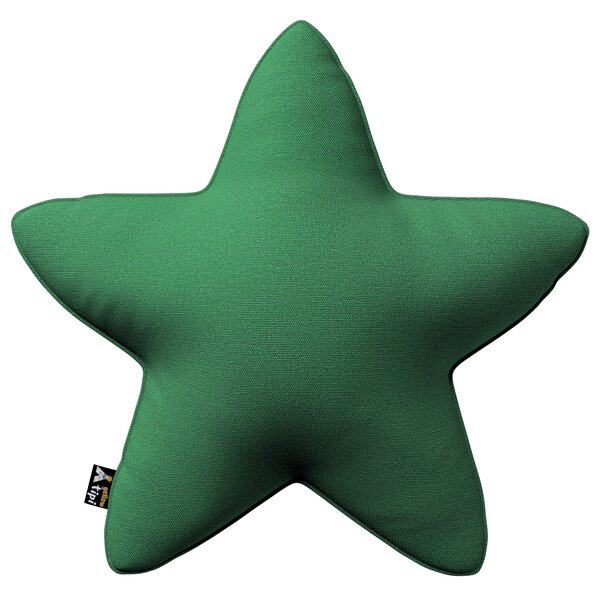 Lucky Star pillow