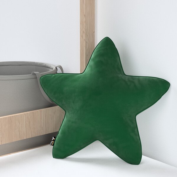 Lucky Star pillow