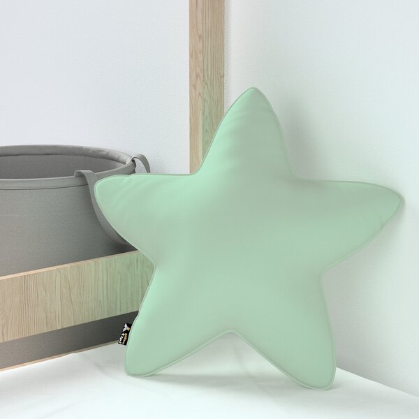 Lucky Star pillow