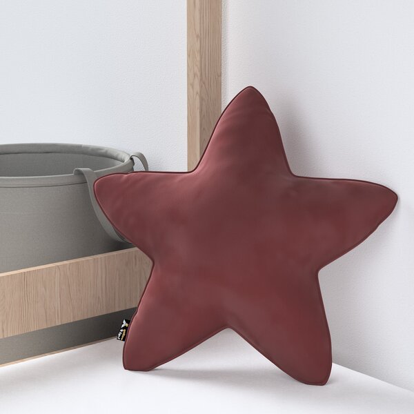 Lucky Star pillow