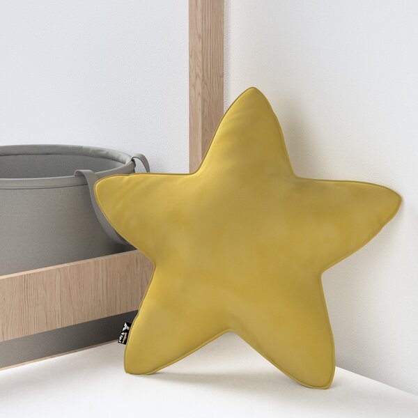 Lucky Star pillow