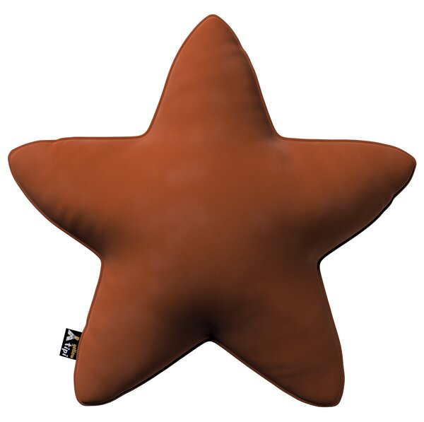 Lucky Star pillow