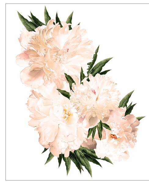 Peony flowers sticker