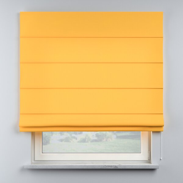 Billie roman blind