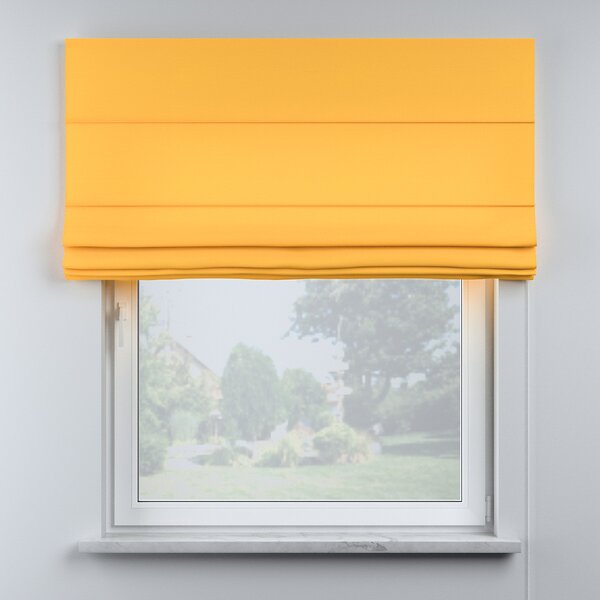 Billie roman blind