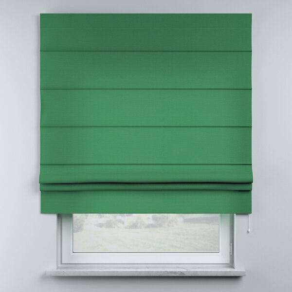 Sammy roman blind