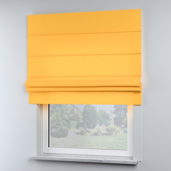 Sammy roman blind