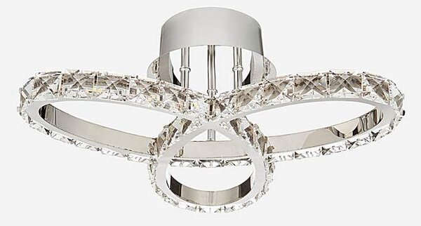 Looped Ceiling Light