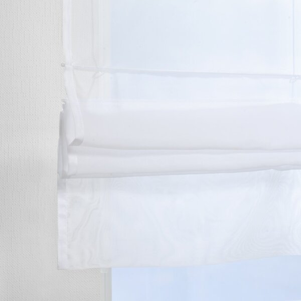 Bolonia voile blind