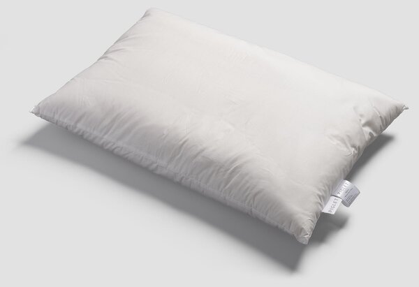 Piglet Merino Wool Pillow (single) Size Square - Medium